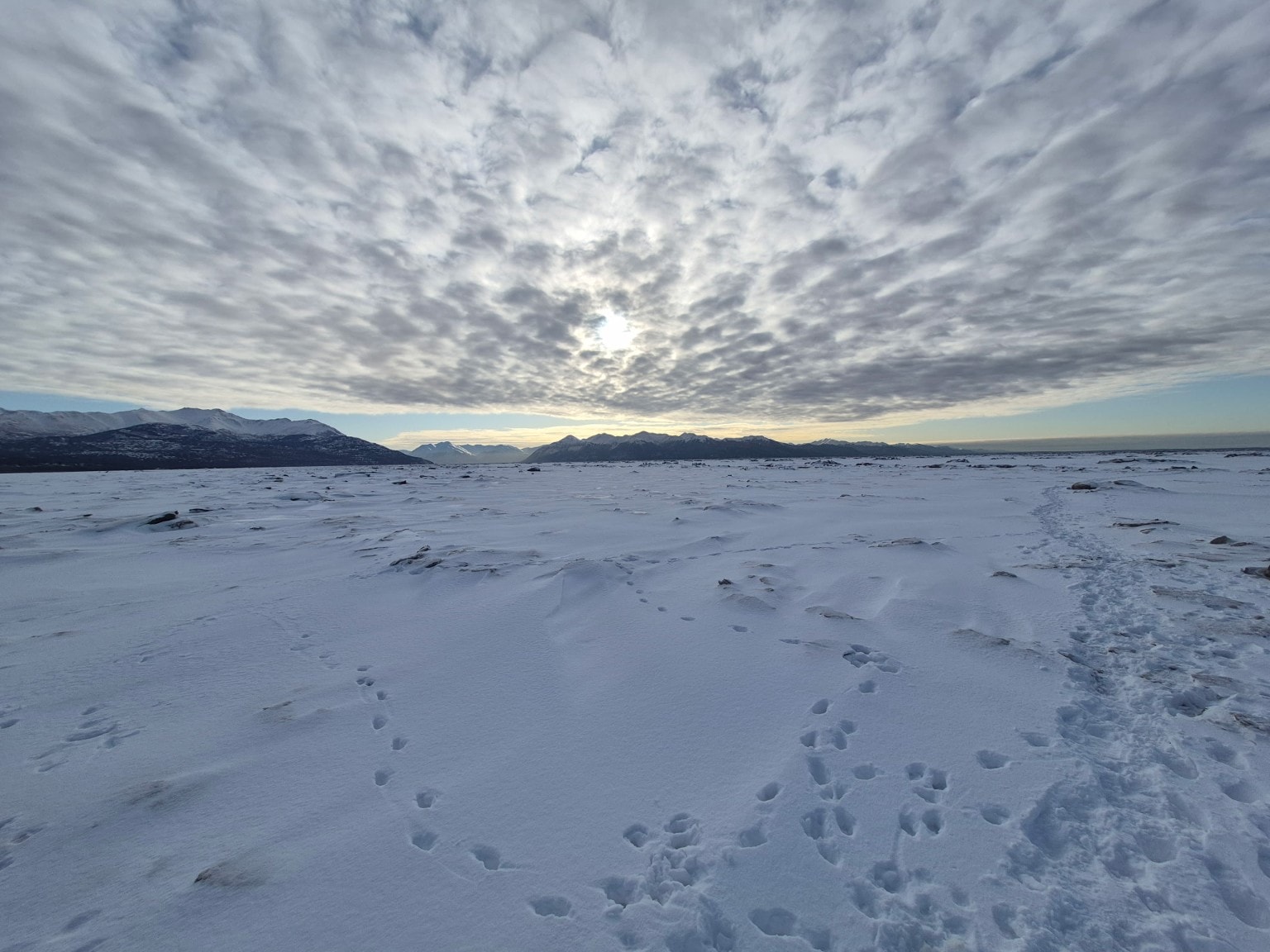 Alaska winter landscape — snow field, animal tracks, and mountain range at dusk